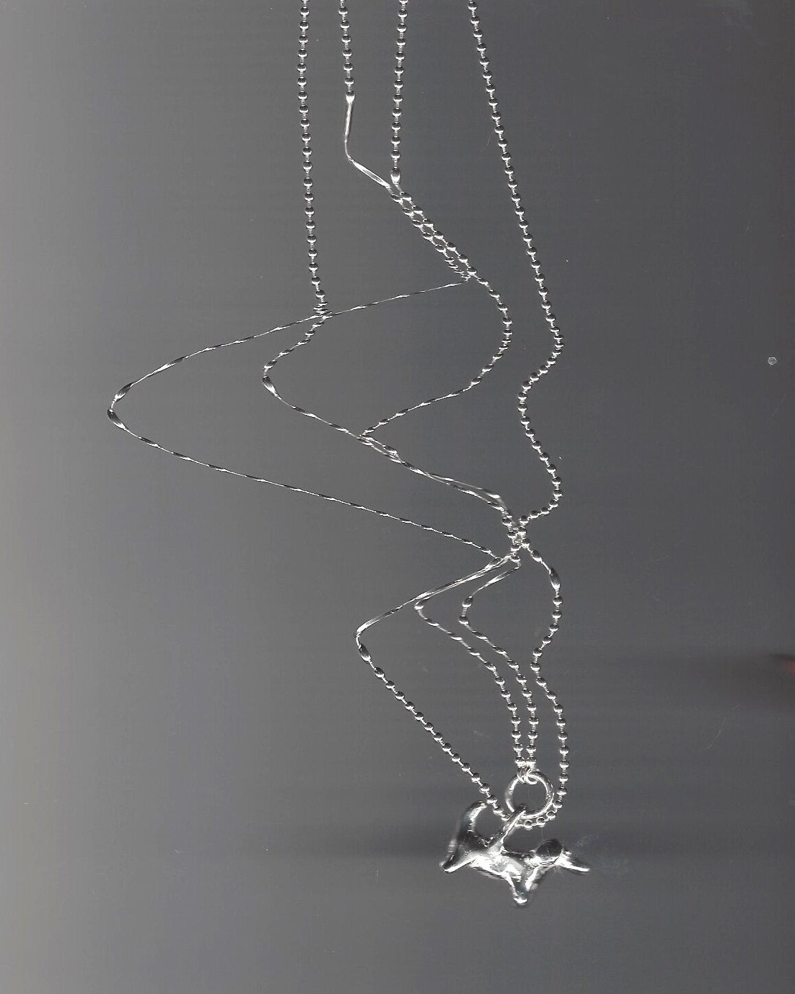dynamism of a dog on a harness
