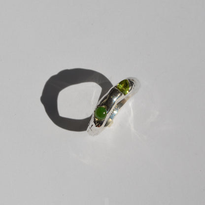 DOUGH RING - green bean